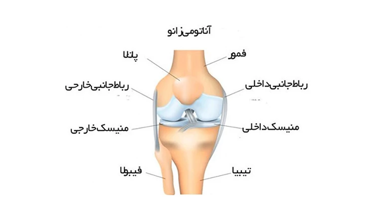 بررسی مینیسک داخلی زانو، آسیب‌ها و روش‌های درمان