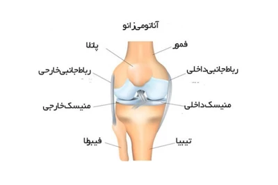 بررسی مینیسک داخلی زانو، آسیب‌ها و روش‌های درمان