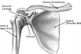 مفصل شانه: از آسیب‌های شایع تا روش‌های درمان جراحی