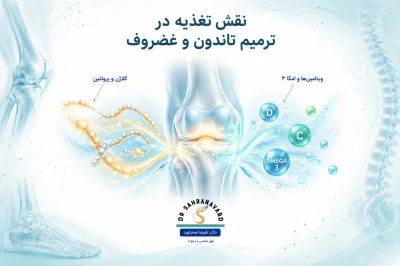 نقش تغذیه در ترمیم تاندون و غضروف | تأثیر مواد مغذی بر بهبود آسیب‌های مفصلی