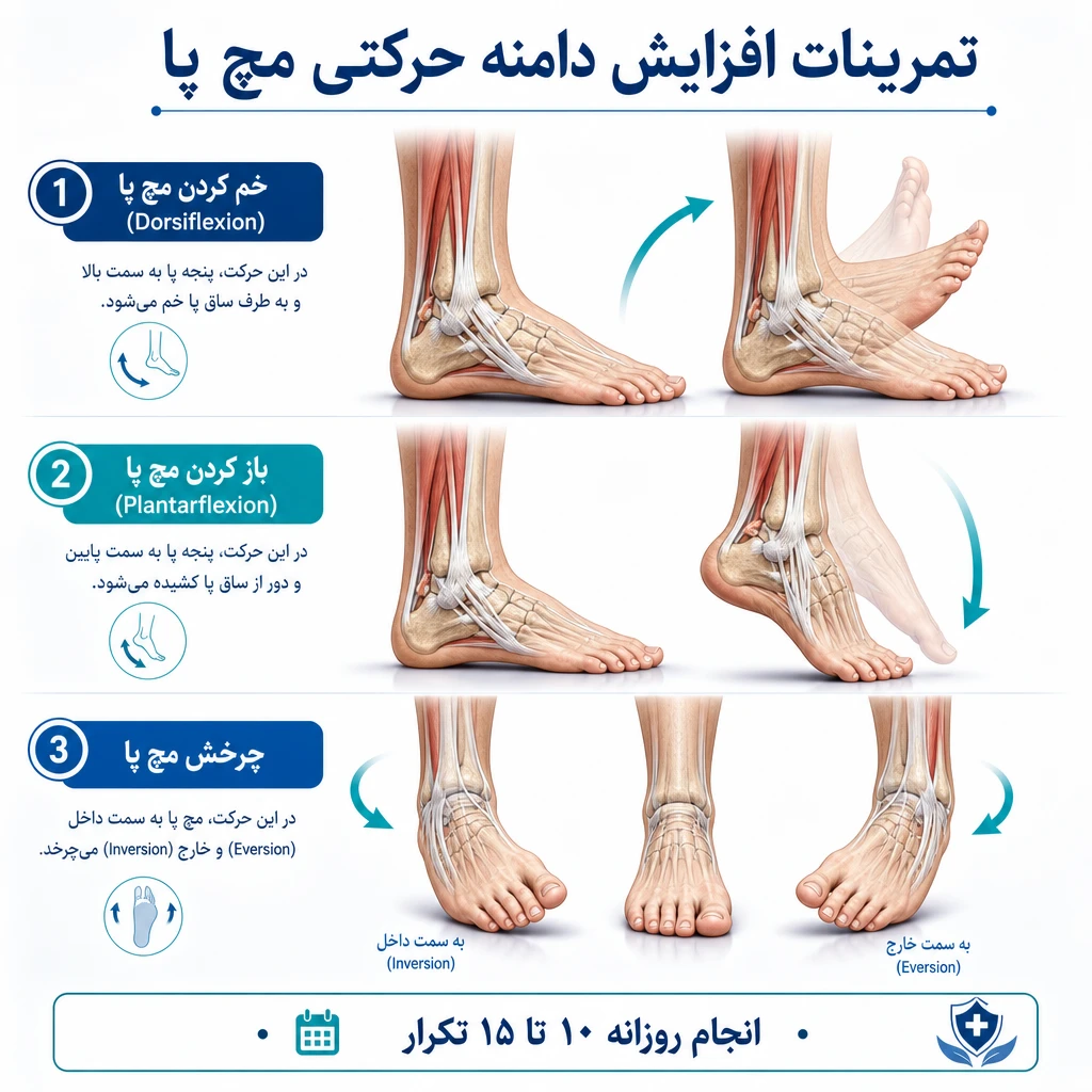 تمرینات برای افزایش دامنه حرکتی مچ پا | راهکارهای علمی برای بهبود حرکت و کاهش درد