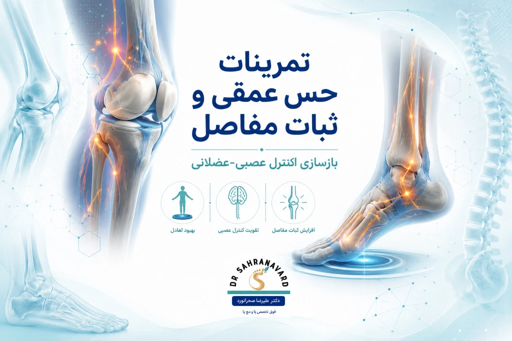 تمرینات حس عمقی (Proprioception) برای ثبات مفاصل | راهنمای جامع تقویت کنترل عصبی‌عضلانی